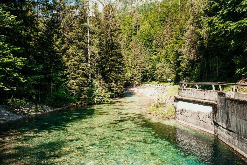 Idyllic Triglav Forest Retreat - Alps, Trails, Lakes, Falls موجسترانا المظهر الخارجي الصورة